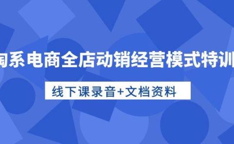 淘系电商全店动销经营模式特训营，线下课录音+文档资料