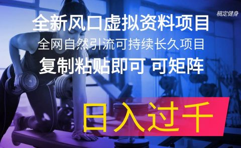全新风口虚拟资料项目 全网自然引流可持续长久项目 复制粘贴即可可矩阵...