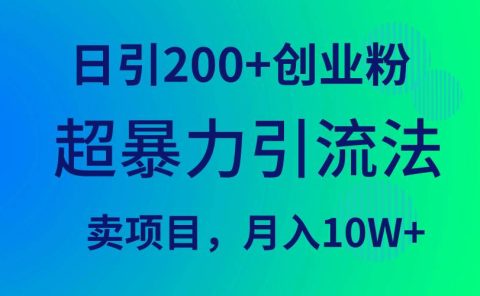超暴力引流法,日引200+创业粉,卖项目月入10W+