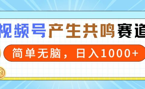 2024年视频号,产生共鸣赛道,简单无脑,一分钟一条视频,日入1000+