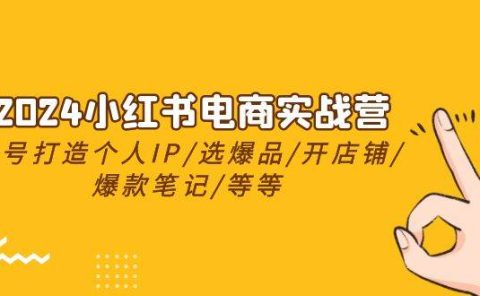 2024小红书电商实战营，养号打造IP/选爆品/开店铺/爆款笔记/等等（24节）
