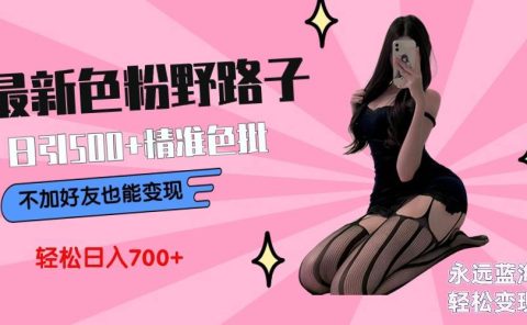 最新色粉变现野路子,日引500+老色批 可不加好友直接变现 小白轻松日入700+