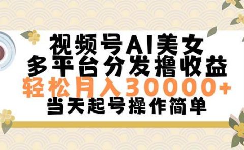 视频号AI美女，轻松月入30000+,操作简单轻松上手