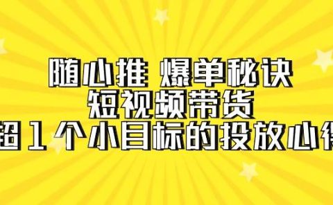 随心推 爆单秘诀,短视频带货-超1个小目标的投放心得(7节视频课)
