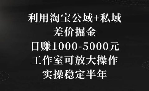 利用淘宝公域+私域差价掘金，日赚1000-5000元，工作室可放大操作，实操...