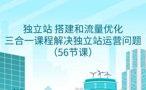 独立站 搭建和流量优化,三合一课程解决独立站运营问题(56节课)