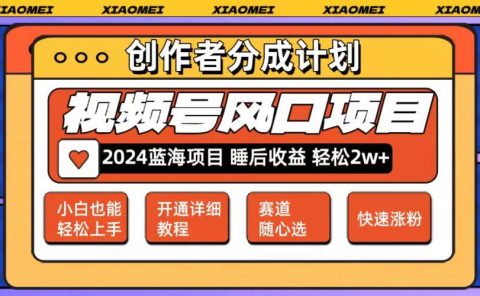 微信视频号大风口项目 轻松月入2w+ 多赛道选择，可矩阵，玩法简单轻松上手