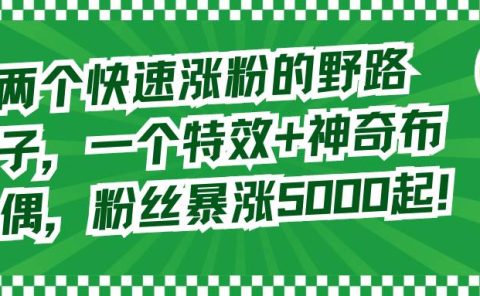 两个快速涨粉的野路子，一个特效+神奇布偶，粉丝暴涨5000起！