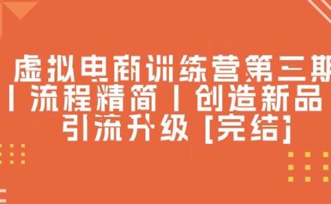 虚拟电商训练营第三期丨流程精简丨创造新品丨引流升级 [完结]