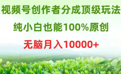 视频号创作者分成顶级玩法，纯小白也能100%原创，无脑月入10000+