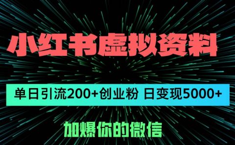 小红书虚拟资料日引流200+创业粉,单日变现5000+