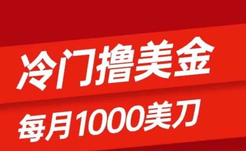 冷门撸美金项目:只需无脑发帖子,每月1000刀,小白轻松掌握