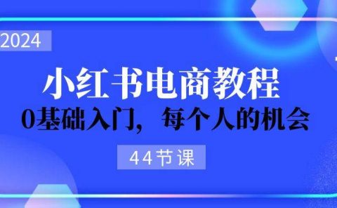 2024从0-1学习小红书电商，0基础入门，每个人的机会（44节）
