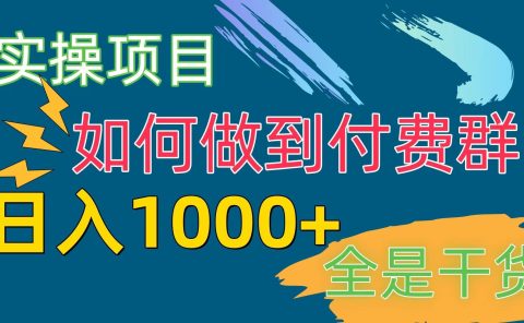 [实操项目]付费群赛道，日入1000+