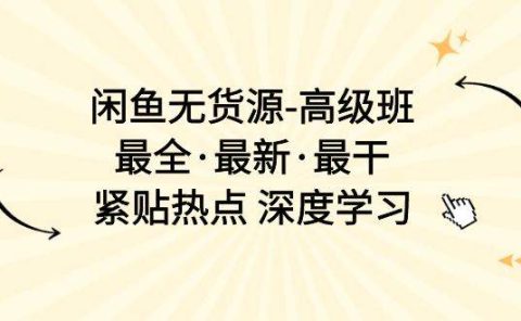 闲鱼无货源-高级班，最全·最新·最干，紧贴热点 深度学习（17节课）