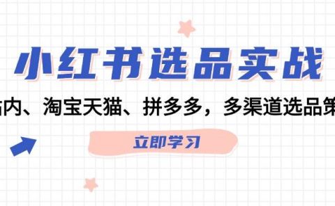 小红书选品实战：站内、淘宝天猫、拼多多，多渠道选品策略