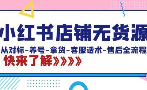 小红书店铺无货源:从对标-养号-拿货-客服话术-售后全流程(20节课)