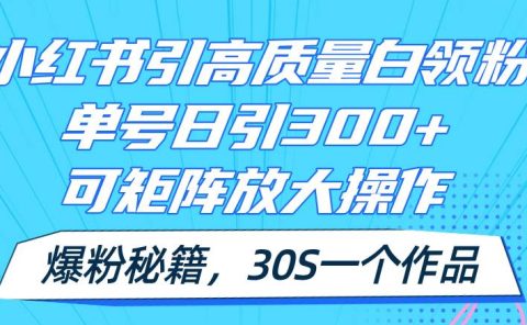 小红书引高质量白领粉,单号日引300+,可放大操作,爆粉秘籍!30s一个作品