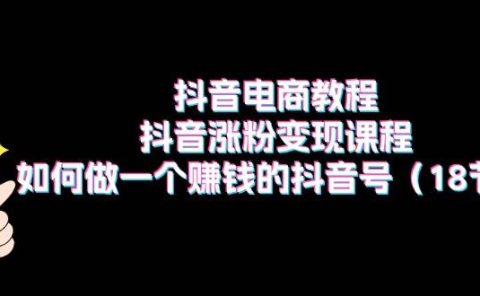 抖音电商教程:抖音涨粉变现课程:如何做一个赚钱的抖音号(18节)