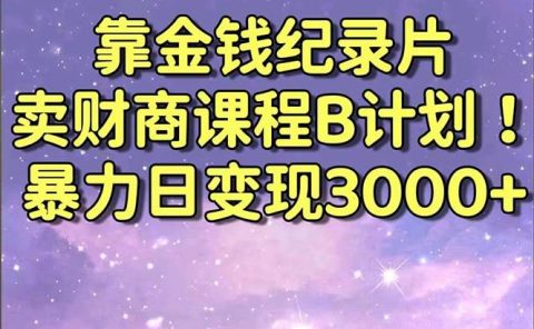 靠金钱纪录片卖财商课程B计划！暴力日变现3000+，喂饭式干货教程！