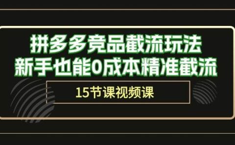 拼多多竞品截流玩法,新手也能0成本精准截流(15节课)