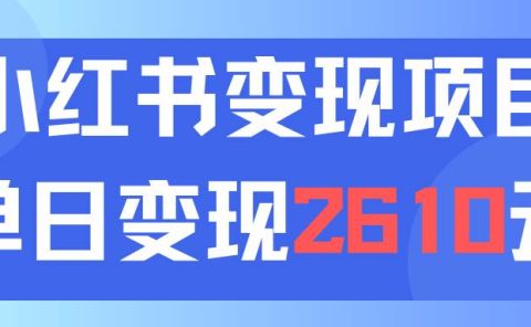 利用小红书卖资料单日引流150人当日变现2610元小白可实操(教程+资料)