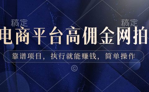 电商平台高佣金网拍,靠谱项目,执行就能赚钱,简单操作