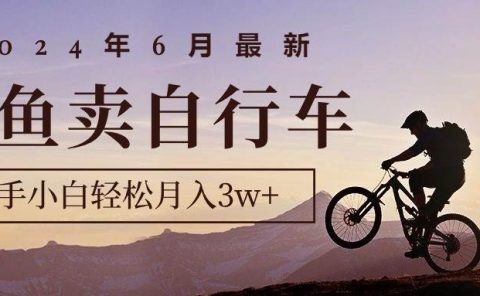 2024年6月最新闲鱼卖自行车，新手小白轻松月入3w+项目
