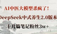 AI中医大模型杀疯了！DeepSeek中式养生2.0版本，十几篇笔记粉丝3w+