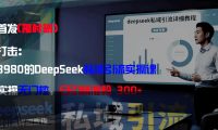 全网首发（限时删）精准打击：价值3980的DeepSeek私域引流实操课，小白实操无门槛，日引精准粉300+