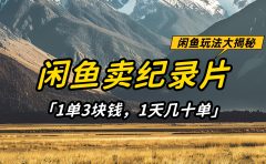 闲鱼卖纪录片1单3块钱，1天几十单，项目稳定有潜力