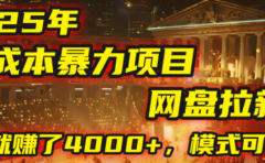 2025年,一个0成本的暴力项目,靠网盘拉新,有人一天就赚了4000+,模式可复制!