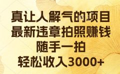 真让人解气的项目，最新违章拍照赚钱，随手一拍，轻松收入3000+