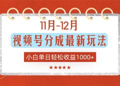 11月~12月视频号分成最新玩法，小白单日轻松收益1000+！