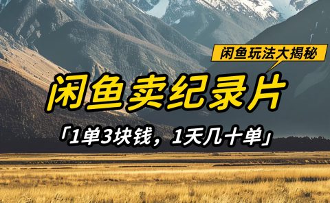 闲鱼卖纪录片1单3块钱，1天几十单，项目稳定有潜力