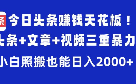 今日头条赚钱天花板！微头条+文章+视频三重暴力玩法，小白照搬也能日入2000+