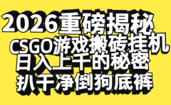 2026开年重磅解密,CSGO游戏搬砖挂机日入上千的秘密,把倒狗的底裤扒干净,毫无保留