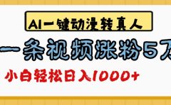 最新AI一键动漫转真人,一条视频爆涨5万粉,单日变现1000+