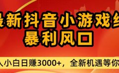 最新抖音小游戏纯暴利风口!小白单日稳赚3000+，全新机遇千万别错过