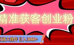 精准获客创业粉轻松变现，操作简单可放大，单日轻松3000+