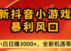 最新抖音小游戏纯暴利风口!小白单日稳赚3000+，全新机遇千万别错过