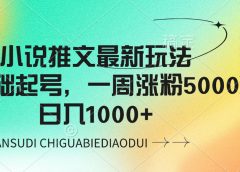 小说推文最新玩法，0基础起号，一周涨粉5000，可日入1000+