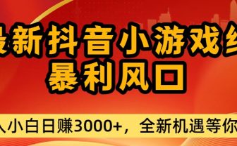 最新抖音小游戏纯暴利风口!小白单日稳赚3000+，全新机遇千万别错过