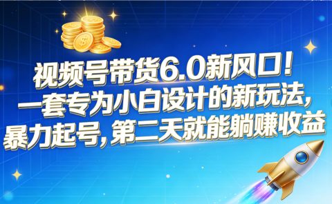 视频号带货6.0新风口!一套专为小白设计的新玩法,暴力起号,第二天就能躺赚收益