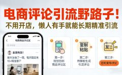 电商评论引流野路子!不用开店,懒人有手就能长期精准引流