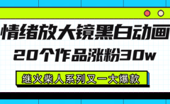 情绪放大镜黑白线条动画风格,20个视频,涨粉30W,继火柴人系列又一大爆款