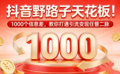抖音野路子天花板!1000 个信息差,教你打通引流变现任督二脉