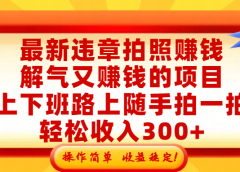 最新违章拍照赚钱，解气又赚钱的项目，上下班路上随手拍一拍，轻松收入300+，悄悄的闷声发大财，操作简单，收益稳！