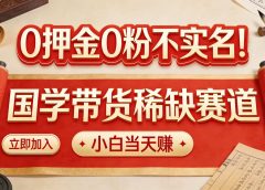 0 押金 0 粉不实名！国学带货稀缺赛道 小白当天赚