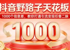 抖音野路子天花板！1000 个信息差，教你打通引流变现任督二脉